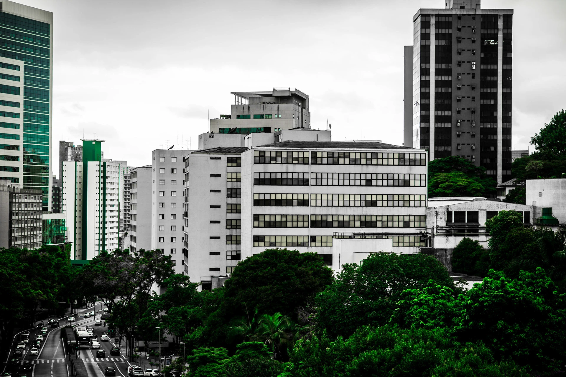 Vista urbana de São Paulo com edifícios empresariais e áreas verdes